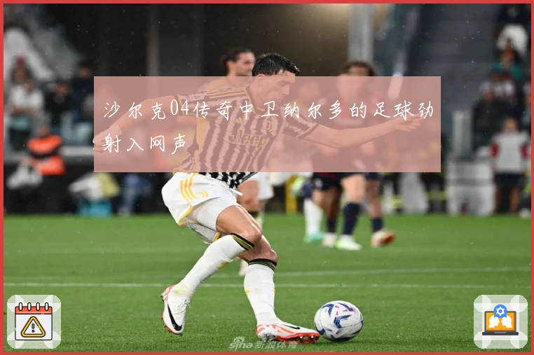 沙尔克04传奇中卫纳尔多的足球劲射入网声