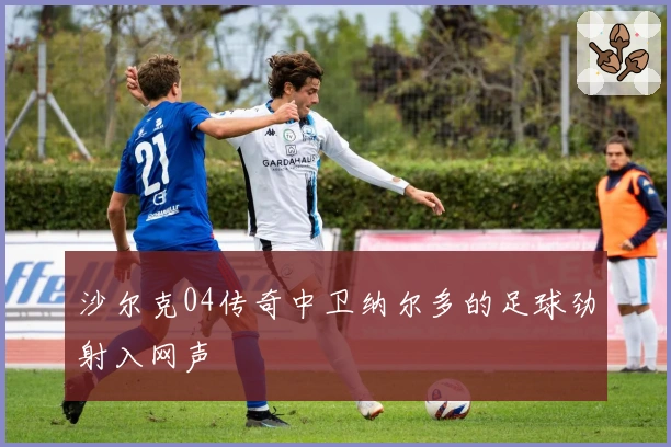 沙尔克04传奇中卫纳尔多的足球劲射入网声