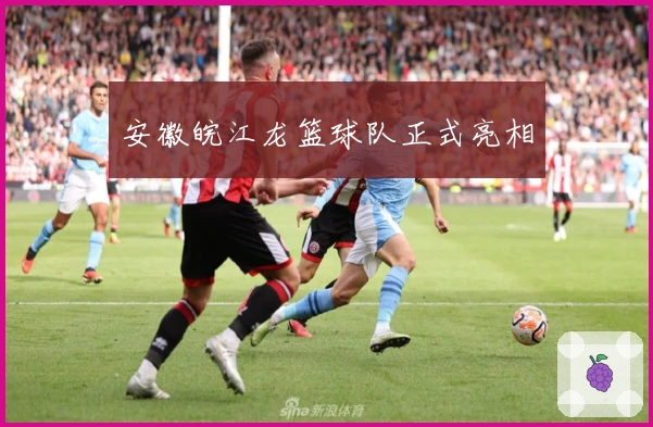 安徽皖江龙篮球队正式亮相